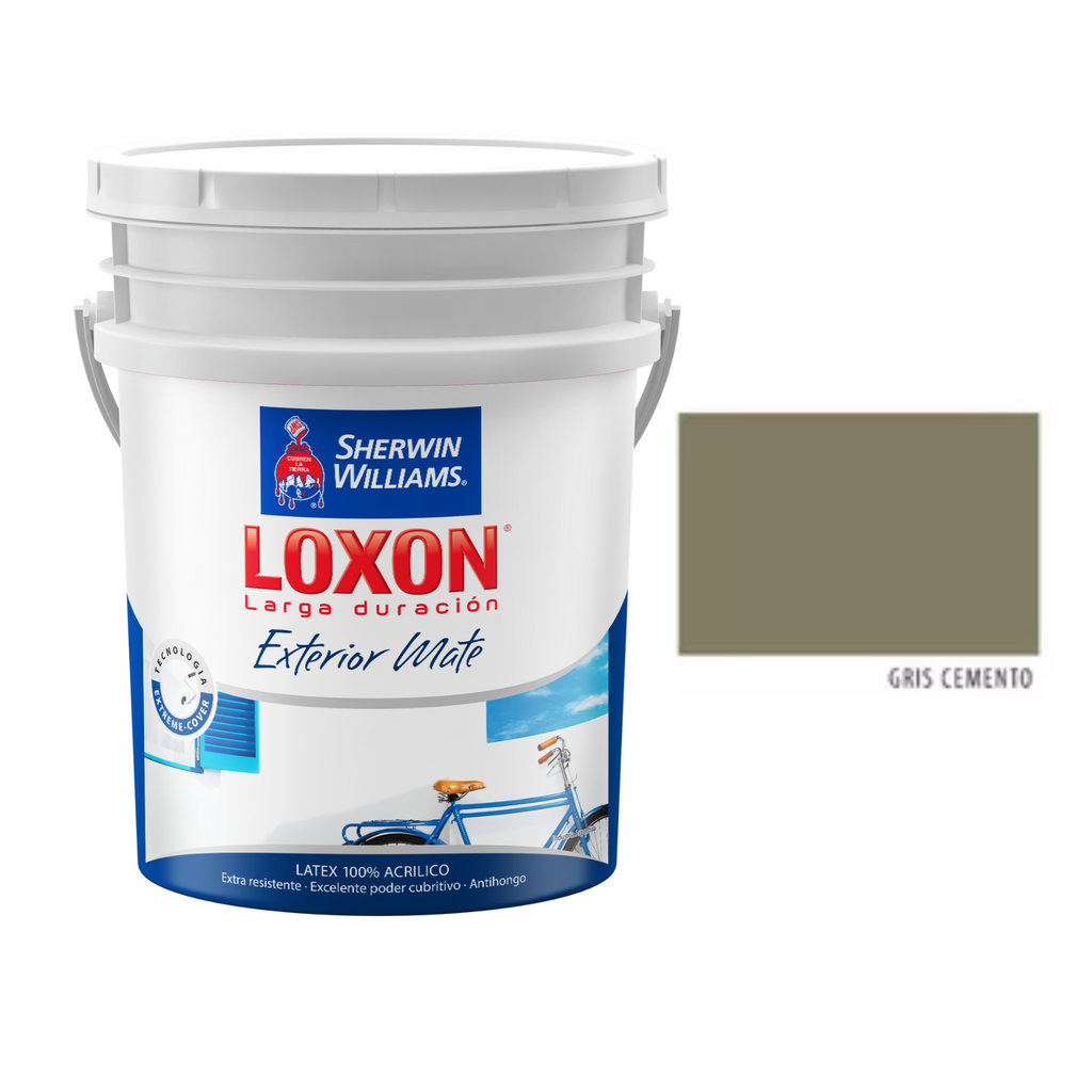 Loxon Exterior Gris Cemento 20 L